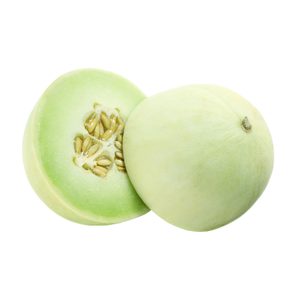 Melon - Honeydew - Whole - The Orchard Fruit