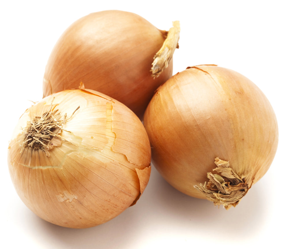 Spanish Onion - 1LB - The Orchard Fruit